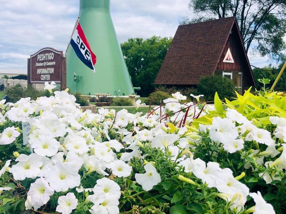 Info Center With Flowers